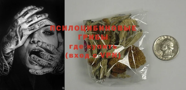 spice Осинники