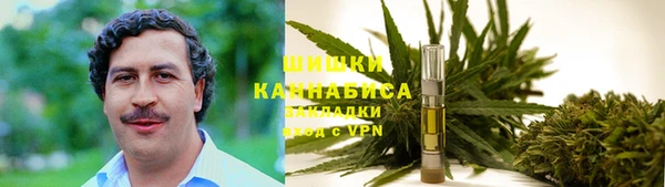 spice Осинники