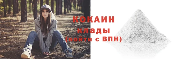 spice Осинники