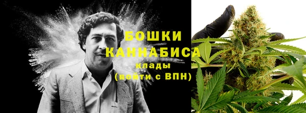 spice Осинники